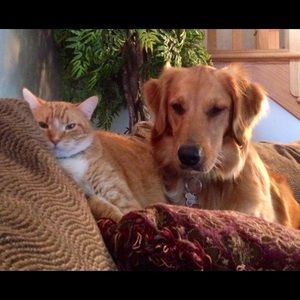 Meet your Posher, Kristi